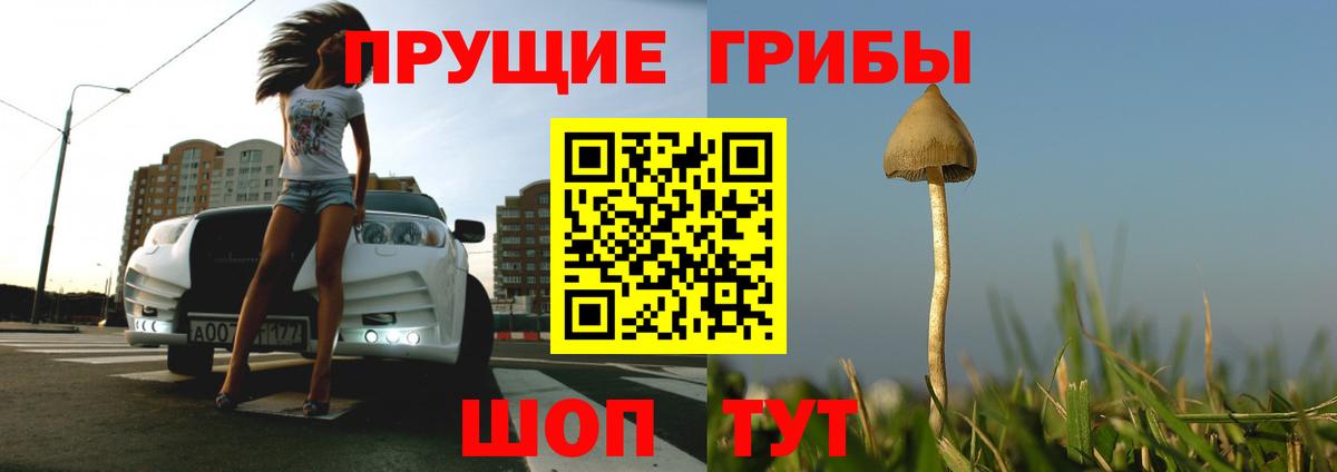 Чистополь  Галлюциногенные грибы GOLDEN TEACHER  Псилоцибиновые грибы Magic Shrooms  Вход с VPN 